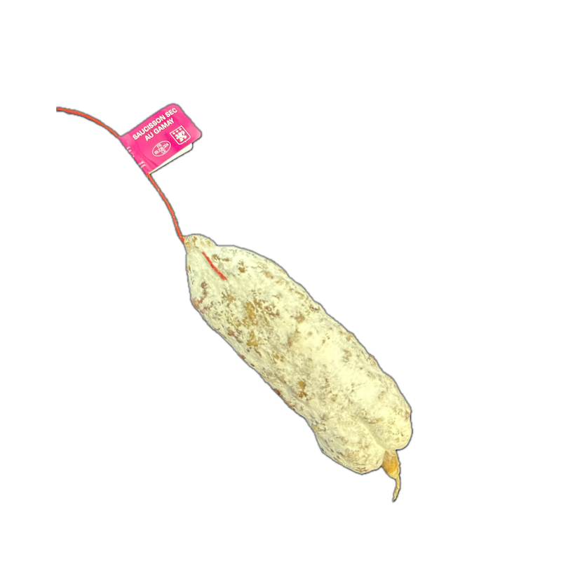 Coussin Lyonnais Ou Acheter